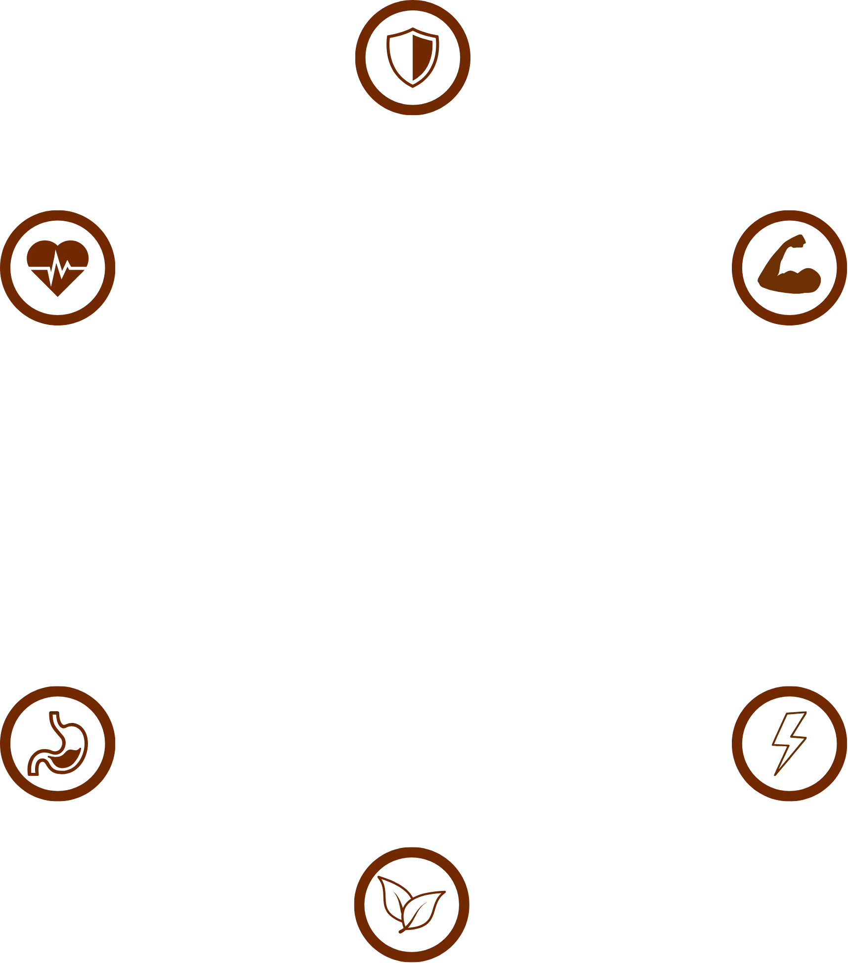 Rangoli border